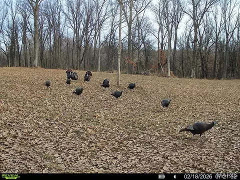 Other - tbd State Rte E, Glasgow, MO 65254 photo 53 of 58
