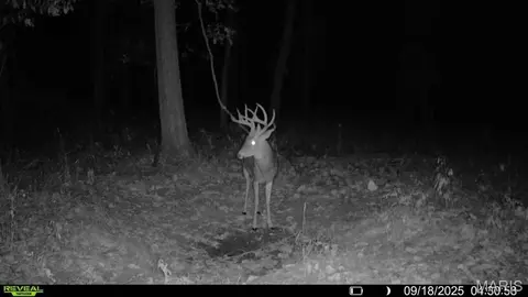 Other - tbd State Rte E, Glasgow, MO 65254 photo 38 of 58