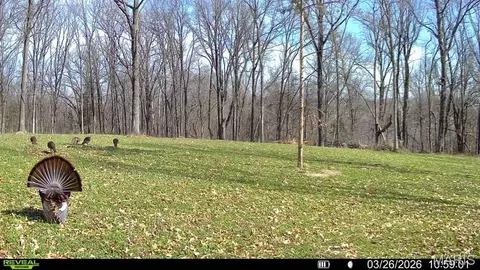 Other - tbd State Rte E, Glasgow, MO 65254 photo 35 of 58