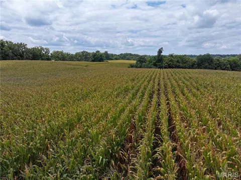 Other - 331 County Road 433, Jackson, MO 63755 photo 21 of 28