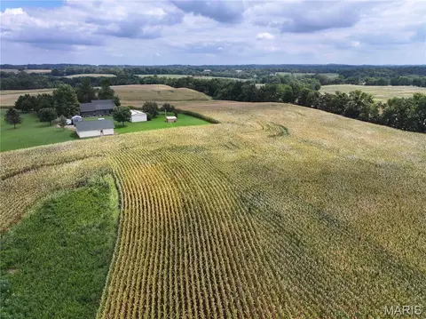 Other - 331 County Road 433, Jackson, MO 63755 photo 20 of 28