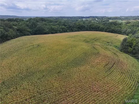 Other - 331 County Road 433, Jackson, MO 63755 photo 16 of 28