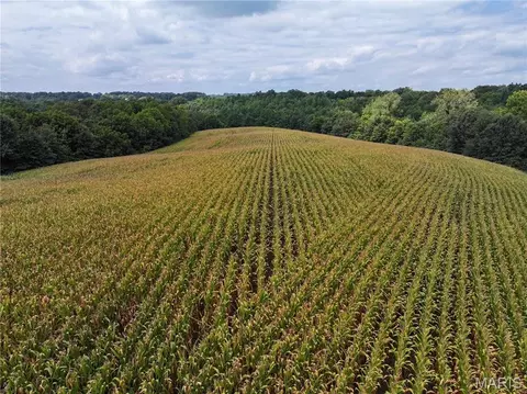 Other - 331 County Road 433, Jackson, MO 63755 photo 1 of 28