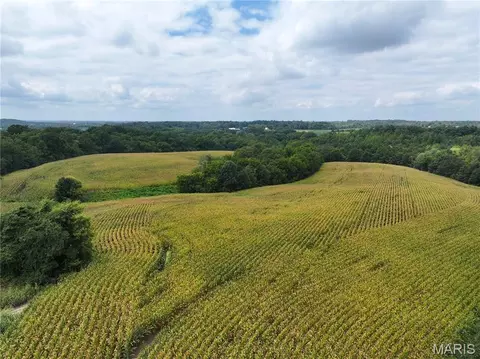 Other - 331 County Road 433, Jackson, MO 63755 photo 15 of 28