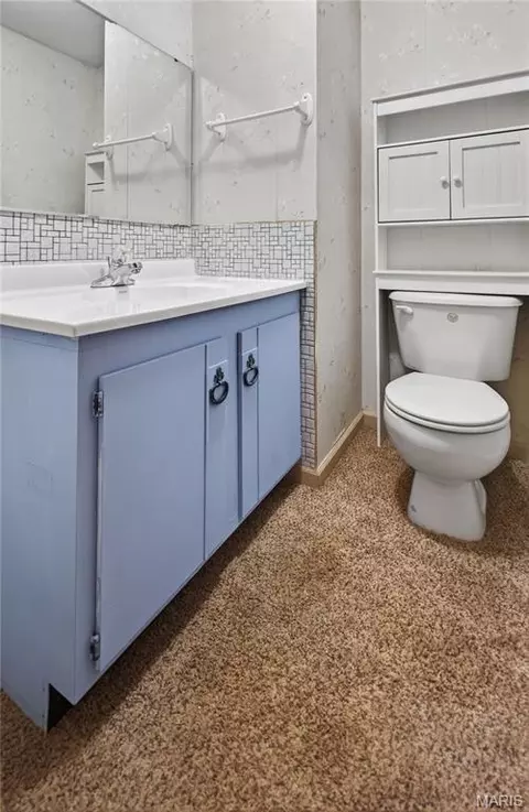 Bath - 610 Laurel Dr, Waterloo, IL 62298 photo 5 of 8