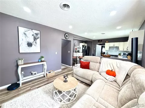 Living - 905 E 3rd St, Salem, MO 65560 photo 3 of 3