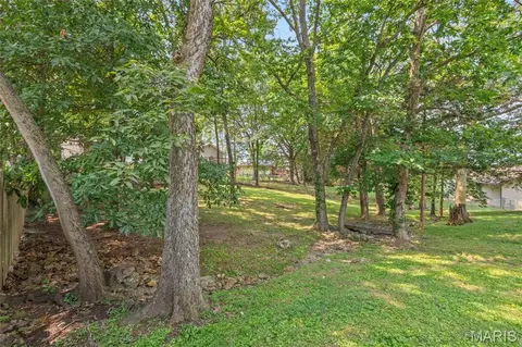 Exterior - 6508 Covington Oaks Dr, Cedar Hill, MO 63016 photo 12 of 15