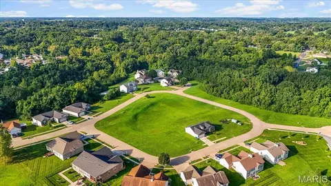 4847 Trees Edge Ln, Black Jack, MO 63033 photo 6