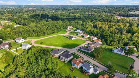 4847 Trees Edge Ln, Black Jack, MO 63033 photo 3