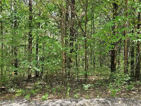 9480 Bent Tree Dr, Hillsboro, MO 63050