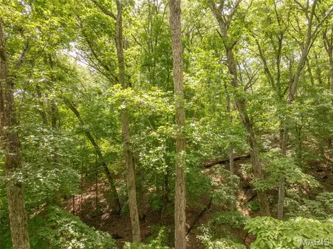 Exterior - 1741 Sonnenblick Dr, Innsbrook, MO 63390 photo 4 of 8