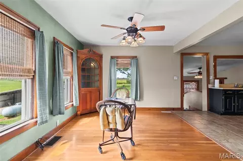 Other - 25159 E County Line Rd, Waggoner, IL 62572 photo 7 of 23