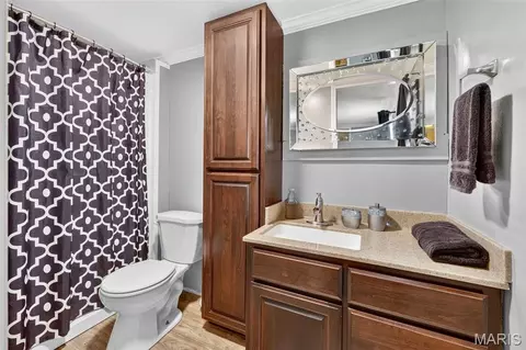 Bath - 200 Fairview Dr, Winfield, MO 63389 photo 5 of 5
