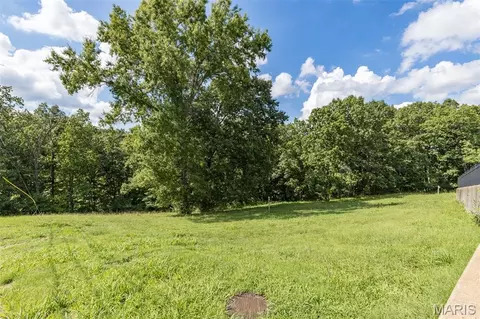 Exterior - 653 Butternut Ln, Arnold, MO 63010 photo 12 of 12