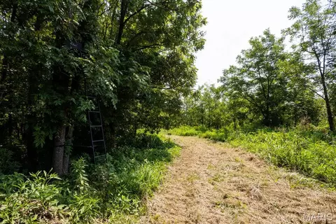 Exterior - 56504 Shaw Rd, Olean, MO 65064 photo 9 of 12