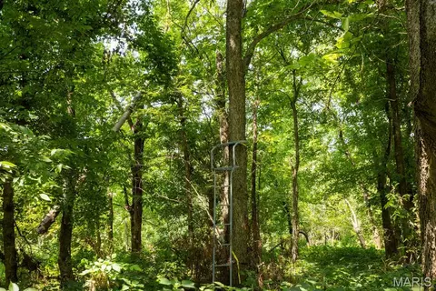 Other - 56504 Shaw Rd, Olean, MO 65064 photo 46 of 48