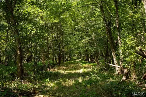 Other - 56504 Shaw Rd, Olean, MO 65064 photo 45 of 48