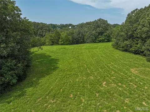 2 Sweetgum Lane, Millersville, MO 63766