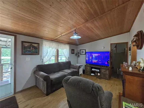 Living - 11568 E State Hwy E, Cadet, MO 63630 photo 3 of 3
