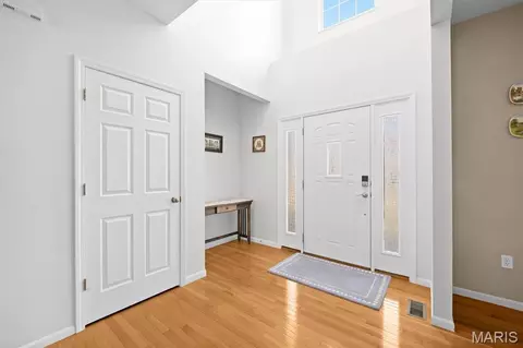 Entry Way - 923 Saint Nicholas Dr, O'fallon, IL 62269 photo 1 of 3