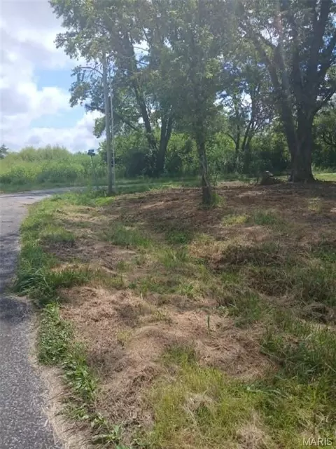 502 Cherry St, Fidelity, IL 62030 photo 2