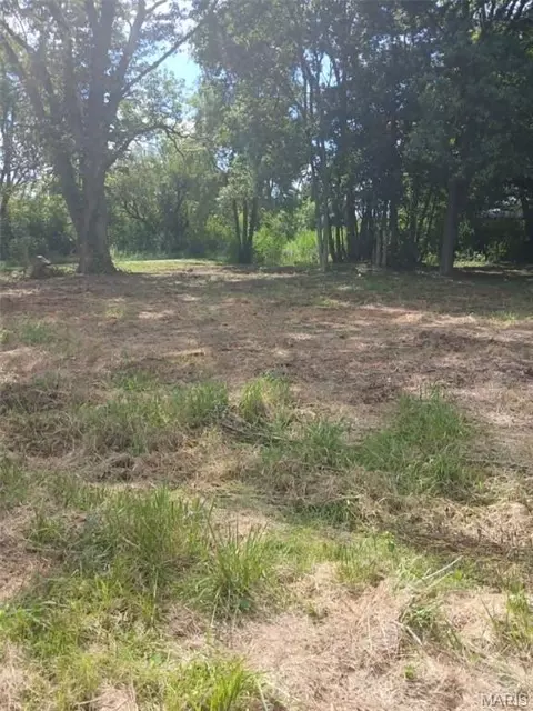 502 Cherry St, Fidelity, IL 62030 photo 3