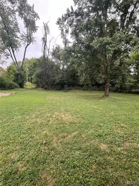 Exterior - 107 E 6th St, Dixon, MO 65459 photo 6 of 6