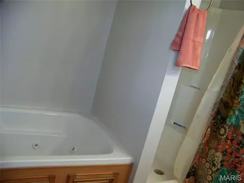 Bath - 20990 Hideaway Ln, Saint Robert, MO 65584 photo 4 of 4