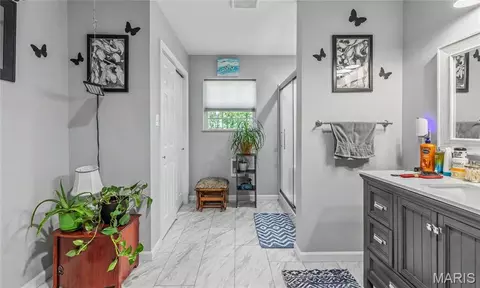 Entry Way - 1102 Hwy Z, Belleview, MO 63623 photo 3 of 3