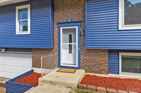 Other - 809 Ron Dr, Fenton, MO 63026 photo 1 of 6