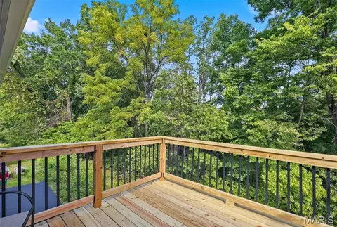 Other - 809 Ron Dr, Fenton, MO 63026 photo 6 of 6