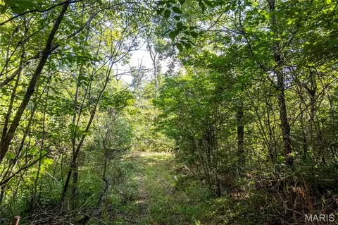 00 Leweke Ln, Hermann, MO 65041 photo 28