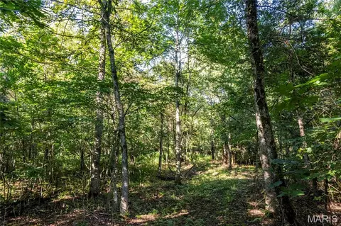 00 Leweke Ln, Hermann, MO 65041 photo 39