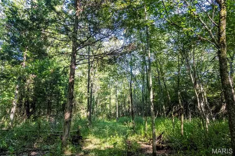 00 Leweke Ln, Hermann, MO 65041 photo 45
