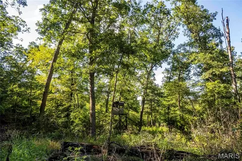 00 Leweke Ln, Hermann, MO 65041 photo 32