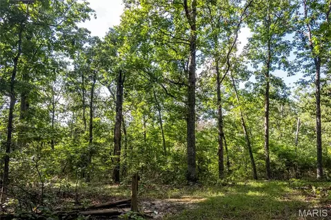 00 Leweke Ln, Hermann, MO 65041 photo 29