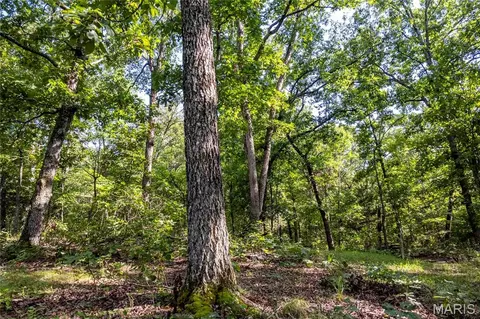 00 Leweke Ln, Hermann, MO 65041 photo 4