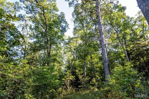 00 Leweke Ln, Hermann, MO 65041 photo 37