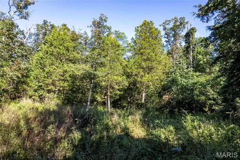 00 Leweke Ln, Hermann, MO 65041 photo 42