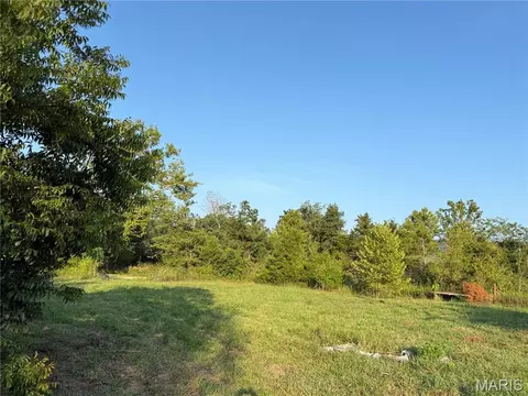 475 County Road 157, Des Arc, MO 63636 photo 9