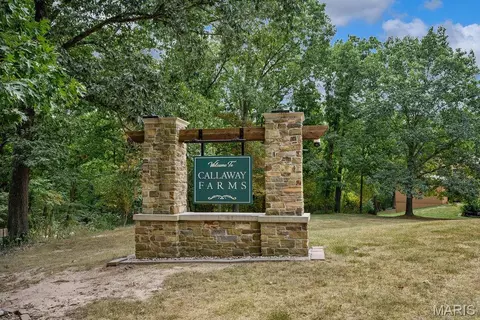 Other - 2 Patrick Ln, Defiance, MO 63341 photo 33 of 33