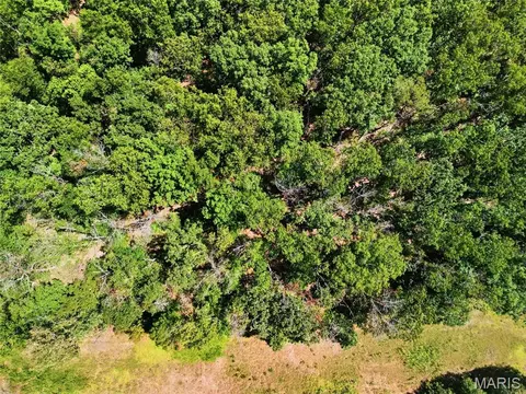 View/Area - 14990 Turkey, Saint Robert, MO 65584 photo 10 of 10