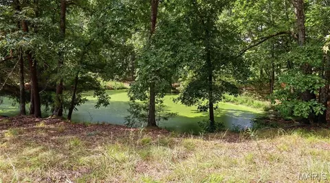 View/Area - 134 Mcintire Rd, Caulfield, MO 65626 photo 3 of 3