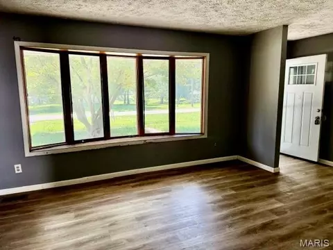 Living - 207 Pine St, Greenfield, IL 62044 photo 3 of 5