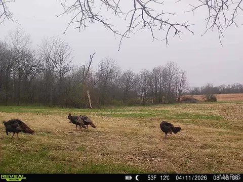 Other - 26301 Maple Dr, Bucklin, MO 64631 photo 24 of 29