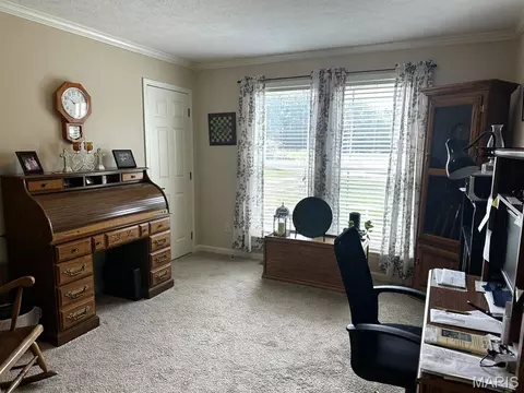 Other - 16058 County Road 431, Dexter, MO 63841 photo 6 of 7
