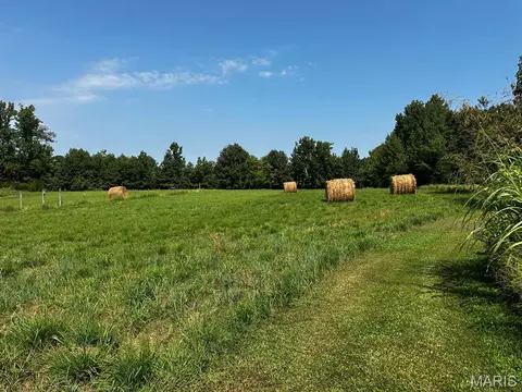 Exterior - 16058 County Road 431, Dexter, MO 63841 photo 5 of 5