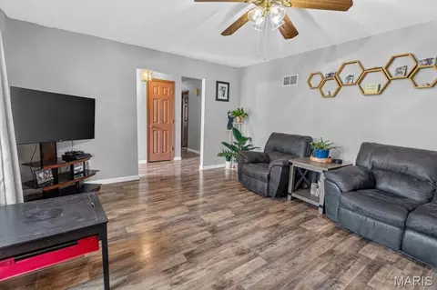 Other - 157 W Mill St, Ruma, IL 62278 photo 4 of 9