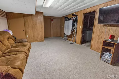 Other - 157 W Mill St, Ruma, IL 62278 photo 6 of 9