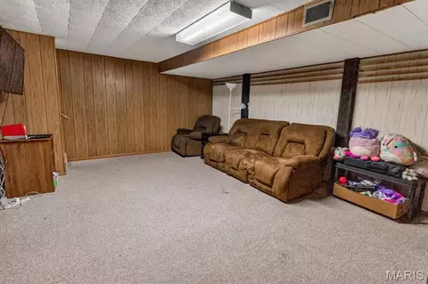 Other - 157 W Mill St, Ruma, IL 62278 photo 7 of 9
